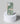 Starbucks Stylish messages Mobile Case - PopCase