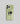 Friends Series SC and Hyd Mobile Case 7 glass