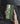 Custom Daisy Floral Phone Case and Cover 5