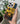 Barcelona Mobile Case - PopCase