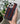 Duo Legends FC Case - PopCase
