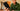 Hanuman-Bajrangbali Mobile Skin 5
