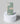 Starbucks Stylish messages Mobile Case - PopCase