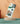 Starbucks Logo & Bill Mobile Case - PopCase