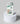 Starbucks Logo & Bill Mobile Case - PopCase