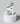 Starbucks Logo & Bill Mobile Case - PopCase